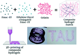 Graphical abstract: Stabilizing gelatin-based bioinks under physiological conditions by incorporation of ethylene-glycol-conjugated Fmoc-FF peptides
