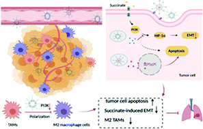 Graphical abstract: A liposome-based combination strategy using doxorubicin and a PI3K inhibitor efficiently inhibits pre-metastatic initiation by acting on both tumor cells and tumor-associated macrophages