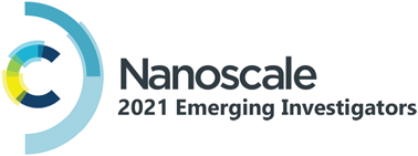 Graphical abstract: Nanoscale profiles: contributors to the Emerging Investigators 2021 issue