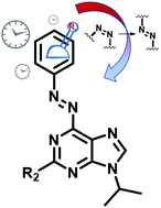 Graphical abstract: Reductive stability evaluation of 6-azopurine photoswitches for the regulation of CKIα activity and circadian rhythms