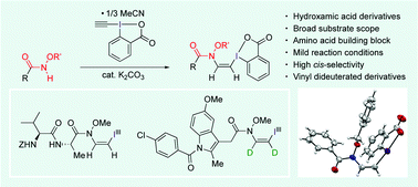 Graphical abstract: N-Alkenylation of hydroxamic acid derivatives with ethynyl benziodoxolone to synthesize cis-enamides through vinyl benziodoxolones