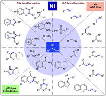 Graphical abstract: Recent advances in nickel-catalyzed C–C and C–N bond formation via HA and ADC reactions