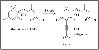 Graphical abstract: 3′-(Phenyl alkynyl) analogs of abscisic acid: synthesis and biological activity of potent ABA antagonists
