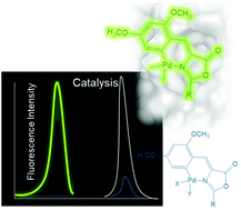 Graphical abstract: Pd-Oxazolone complexes conjugated to an engineered enzyme: improving fluorescence and catalytic properties