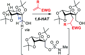Graphical abstract: Regioselective C(sp3)–H alkylation of a fructopyranose derivative by 1,6-HAT