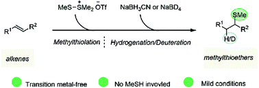 Graphical abstract: Transition metal-free formal hydro/deuteromethylthiolation of unactivated alkenes