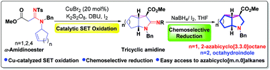 Graphical abstract: Reversal of polarity by catalytic SET oxidation: synthesis of azabicyclo[m.n.0]alkanes via chemoselective reduction of amidines