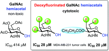 Graphical abstract: The effect of deoxyfluorination and O-acylation on the cytotoxicity of N-acetyl-d-gluco- and d-galactosamine hemiacetals
