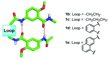 Graphical abstract: An unnatural tripeptide structure containing intramolecular double H-bonds mimics a turn hairpin conformation