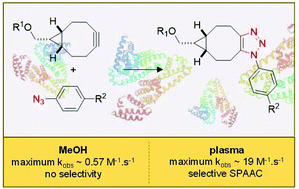 Graphical abstract: Plasma induced acceleration and selectivity in strain-promoted azide–alkyne cycloadditions