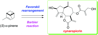 Graphical abstract: Total synthesis of cynaropicrin