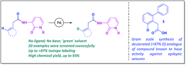 Graphical abstract: Palladium-catalyzed directed synthesis of ortho-deuterated phenylacetic acid and analogues