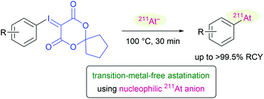 Graphical abstract: Transition-metal-free nucleophilic 211At-astatination of spirocyclic aryliodonium ylides