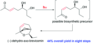 Graphical abstract: Asymmetric synthesis of (−)-dehydro-exo-brevicomin with a photoisomerisation–intramolecular acetalisation sequence