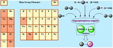 Graphical abstract: Recent advances in the carbon–phosphorus (C–P) bond formation from unsaturated compounds by s- and p-block metals