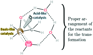 Graphical abstract: Water clusters as bifunctional catalysts in organic chemistry: the hydrolysis of oxirane and its methyl derivatives