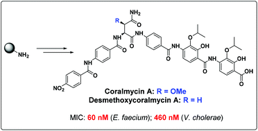 Graphical abstract: Solid-phase synthesis of coralmycin A/epi-coralmycin A and desmethoxycoralmycin A