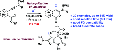 Graphical abstract: Electrophile promoted cyclization of ortho-aryl substituted ynamides: construction of 3-amino-4-halo- or 4 seleno-isocoumarin derivatives