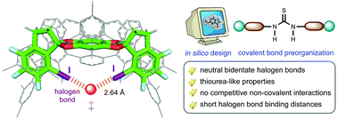 Graphical abstract: In silico characterization and prediction of thiourea-like neutral bidentate halogen bond catalysts