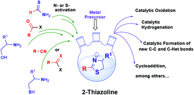 Graphical abstract: 2-Thiazolines: an update on synthetic methods and catalysis