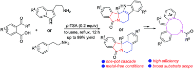 Graphical abstract: Diverse privileged N-polycyclic skeletons accessed from a metal-free cascade cyclization reaction