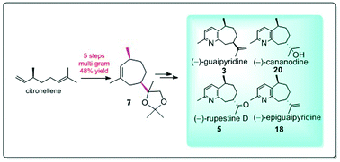 Graphical abstract: Enantioselective construction of substituted pyridine and a seven-membered carbocyclic skeleton: biomimetic synthesis of (−)-rupestine D, (−)-guaipyridine, (−)-epiguaipyridine, and (−)-cananodine and their stereoisomers