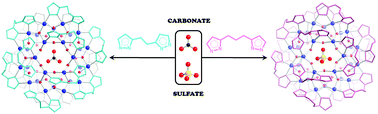 Graphical abstract: Selective binding of anions by rigidified nanojars: sulfate vs. carbonate