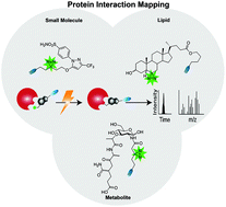 Graphical abstract: Photoaffinity labelling strategies for mapping the small molecule–protein interactome
