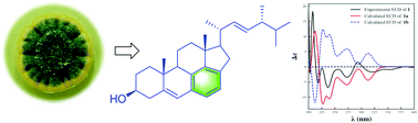Graphical abstract: Solitumergosterol A, a unique 6/6/6/6/5 steroid from the deep-sea-derived Penicillium solitum MCCC 3A00215
