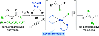 Graphical abstract: 1,2-Bis-perfluoroalkylations of alkenes and alkynes with perfluorocarboxylic anhydrides via the formation of perfluoroalkylcopper intermediates