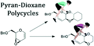 Graphical abstract: Stereoselective synthesis of new pyran-dioxane based polycycles from glycal derived vinyl epoxide
