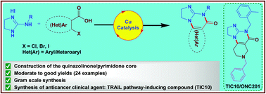 Graphical abstract: Tandem copper catalyzed regioselective N-arylation–amidation: synthesis of angularly fused dihydroimidazoquinazolinones and the anticancer agent TIC10/ONC201