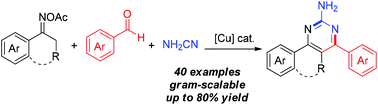 Graphical abstract: Copper-catalyzed three-component formal [3 + 1 + 2] annulations for the synthesis of 2-aminopyrimidines from O-acyl ketoximes