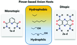 Graphical abstract: Hydrophilic and hydrophobic carboxamide pincers as anion hosts