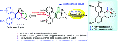 Graphical abstract: Oxazaborolidine-catalyzed reductive parallel kinetic resolution of ketones from β-nitro-azabicycles for the synthesis of chiral hypoestestatins 1, 2