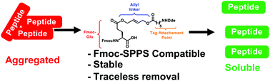 Graphical abstract: A glutamic acid-based traceless linker to address challenging chemical protein syntheses