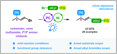 Graphical abstract: Synthesis of chiral branched allylamines through dual photoredox/nickel catalysis