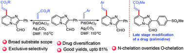 Graphical abstract: Palladium(ii) catalyzed site-selective C–H olefination of imidazo[1,2-a]pyridines