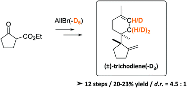 Graphical abstract: Diastereoselective synthesis of (±)-trichodiene and (±)-trichodiene-D3 as analytical standards for the on-site quantification of trichothecenes