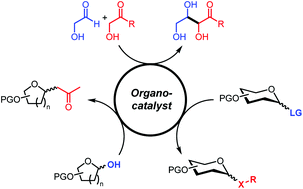 Graphical abstract: Organocatalysis applied to carbohydrates: from roots to current developments