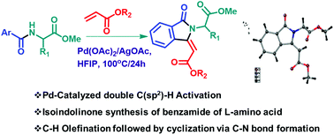 Graphical abstract: Pd-Catalyzed C(sp2)–H olefination: synthesis of N-alkylated isoindolinone scaffolds from aryl amides of amino acid esters