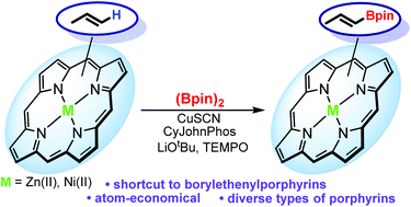 Graphical abstract: Direct C–H borylation of vinylporphyrins via copper catalysis