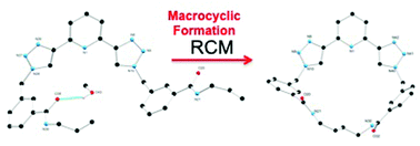 Graphical abstract: Macrocyclic vs. [2]catenane btp structures: influence of (aryl) substitution on the self templation of btp ligands in macrocyclic synthesis