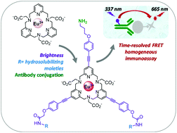 Graphical abstract: Design of novel tripyridinophane-based Eu(iii) complexes as efficient luminescent labels for bioassay applications