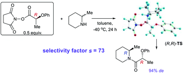 Graphical abstract: Acylative kinetic resolution of racemic methyl-substituted cyclic alkylamines with 2,5-dioxopyrrolidin-1-yl (R)-2-phenoxypropanoate