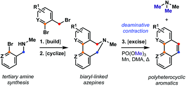 Graphical abstract: An amine template strategy to construct successive C–C bonds: synthesis of benzo[h]quinolines by a deaminative ring contraction cascade