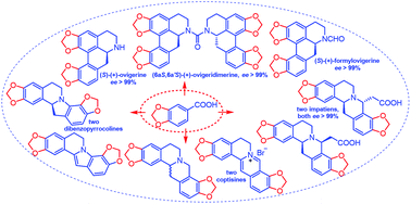 Graphical abstract: A unified total synthesis of benzo[d][1,3]dioxole-type benzylisoquinoline alkaloids of aporphines, coptisines, and dibenzopyrrocolines