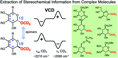 Graphical abstract: Deuterium labelling to extract local stereochemical information by VCD spectroscopy in the C–D stretching region: a case study of sugars