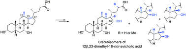 Graphical abstract: Synthesis of 12β-methyl-18-nor-avicholic acid analogues as potential TGR5 agonists