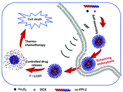 Graphical abstract: Fabrication of thermoresponsive magnetic micelles from amphiphilic poly(phenyl isocyanide) and Fe3O4 nanoparticles for controlled drug release and synergistic thermochemotherapy